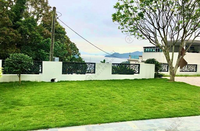 HUGE GARDEN
